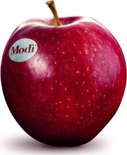 ЯБЛОКИ МОДИ КГ РОССИЯ